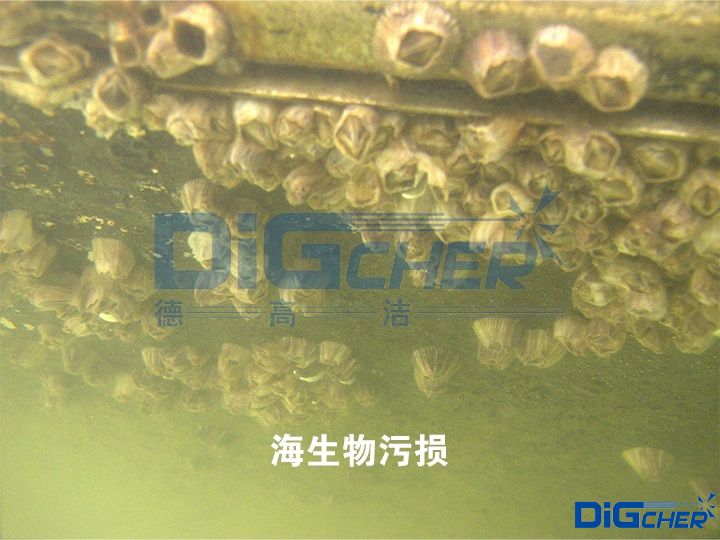 �������ۓp