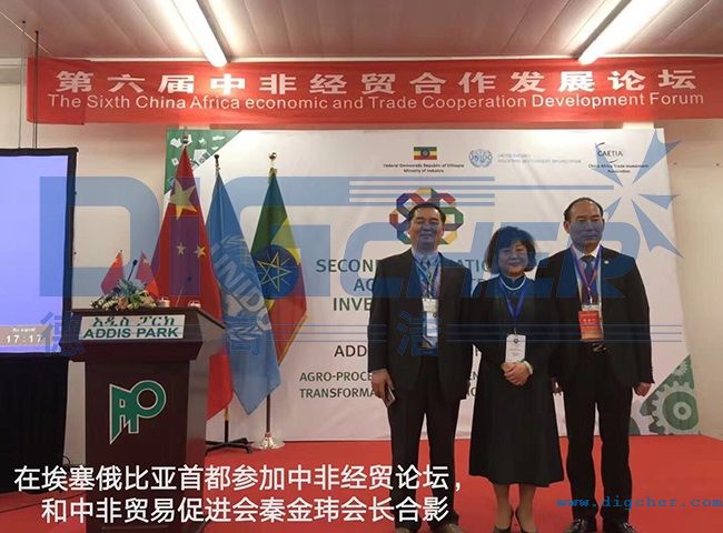 中非經(jīng)貿(mào)論壇合影